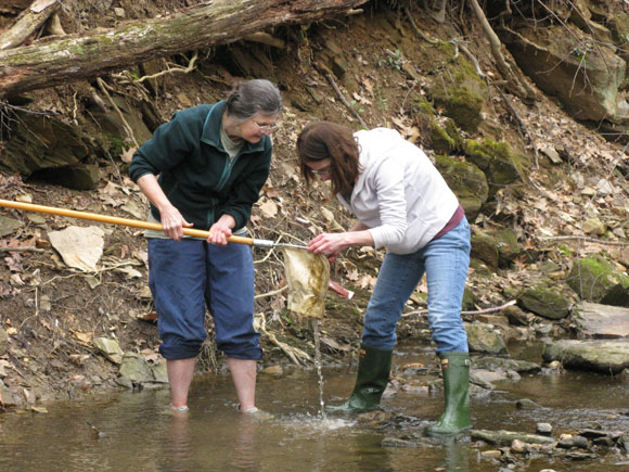 3 - Team leader Connie Nissley and Lyn Garrity examine the net